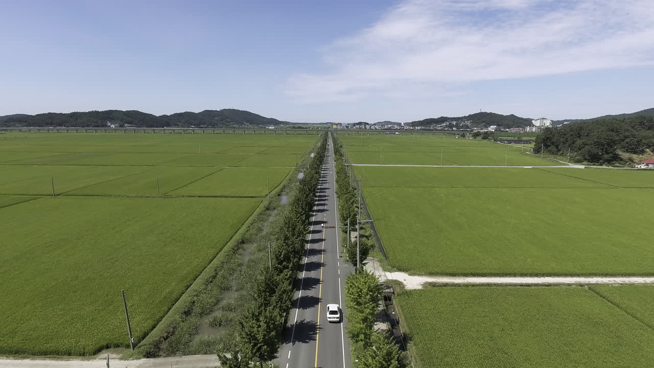 A motorway among rural landscape of rice farming area of Korea. A car running on the road