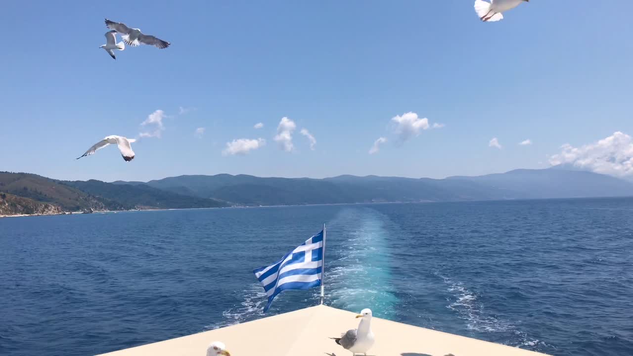 Nærbilde av måker som lander på dekket av et gresk cruiseskip på Middelhavet i 4k langs Athos-kysten.