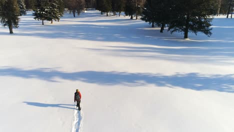 hiker walking on a snowy landscape 4k