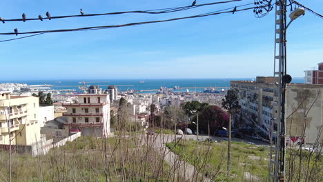 Panoramablick-Auf-Die-Stadt-Algier,-Hauptstadt-Algeriens,-An-Einem-Sonnigen-Tag-An-Der-Bucht-Von-Algier