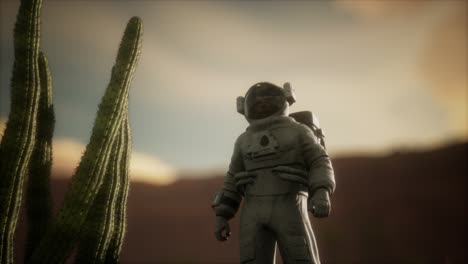 astronauta en el alto desierto de nevada
