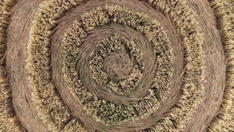 spiral crop circle in a field