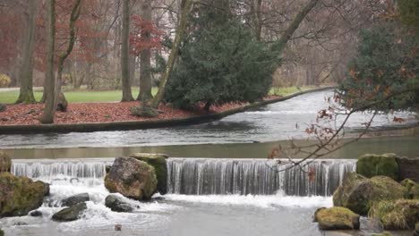 a tiny waterfall and a black bird flies past in autumn