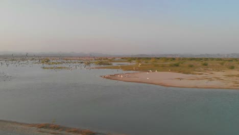 aerial shot of flock of bird flying above the river in baluchistan
