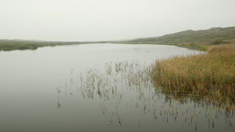 Danish-landscape-on-west-coast-at-overcast,-moody-day