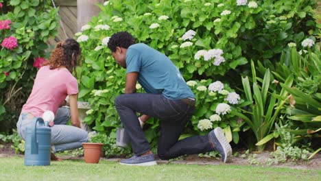 vista de atrás de una feliz pareja biracial haciendo jardinería juntos, plantando flores