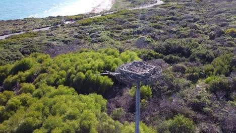 vista de cerca del nido de águilas artificiales para revelar el camino costero que serpentea a lo largo de las dunas, perth