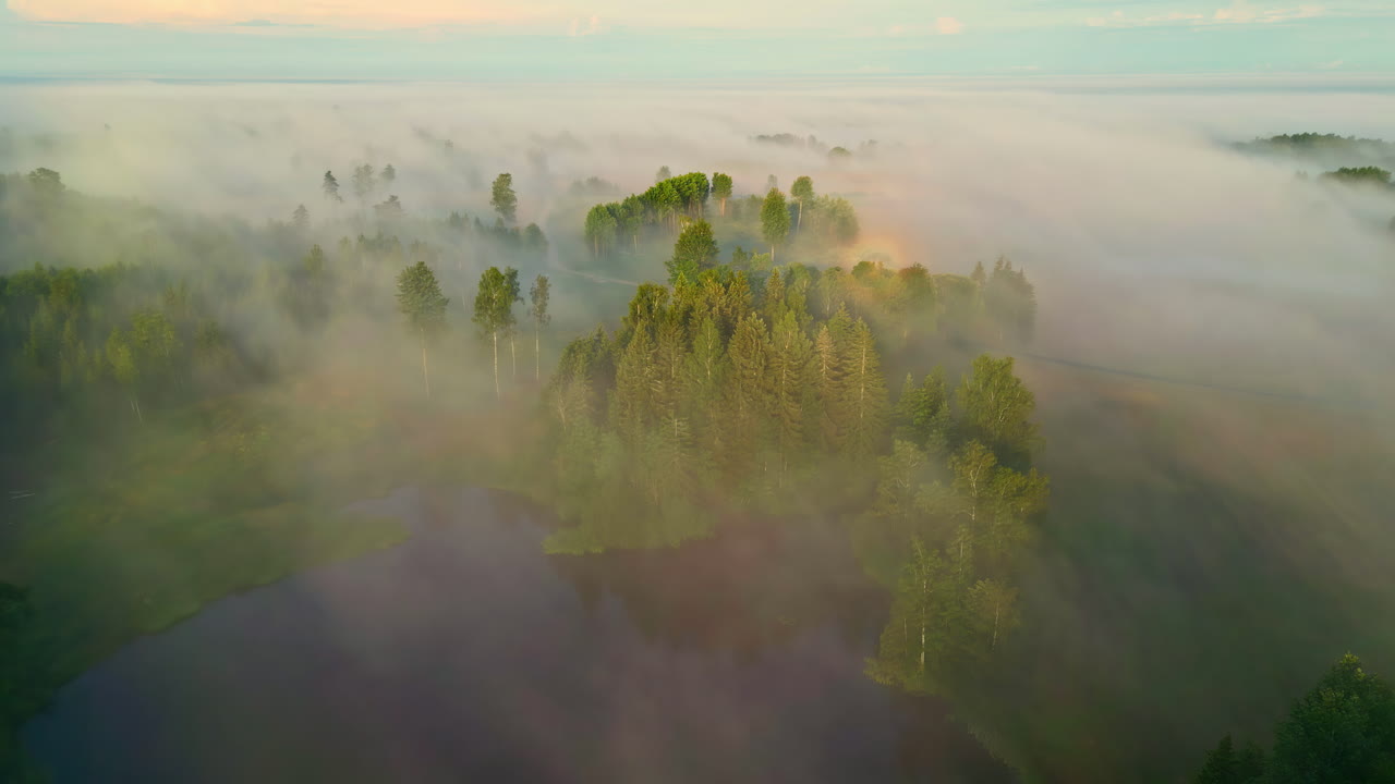 Luftfoto med udsigt over en tågedækket skov og en dam