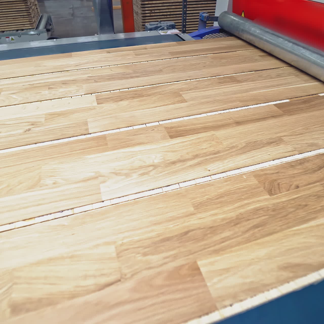 Modern Production of parquet board. Industrial production line.