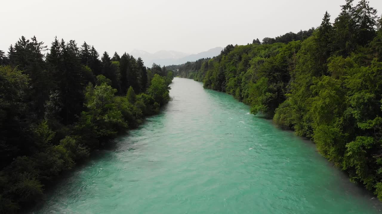 Veduta aerea di un fiume circondato da foresta