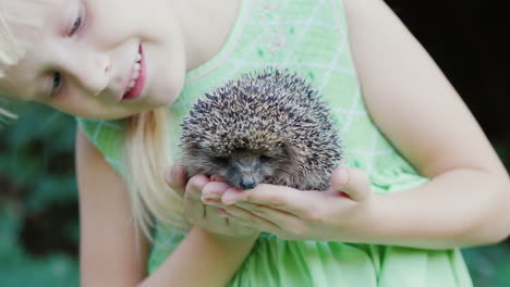 a happy child holds a small hedgehog in his hands children and wildlife a well-healed and caring con