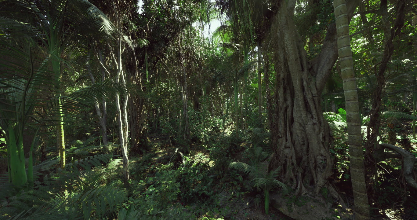 Rich and diverse layer of soil thriving beneath canopy of lush forest