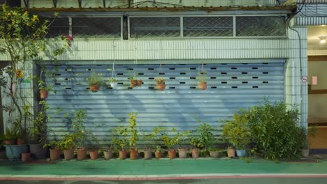 potted plants on street and hang from above shop entrance covered with metal fence