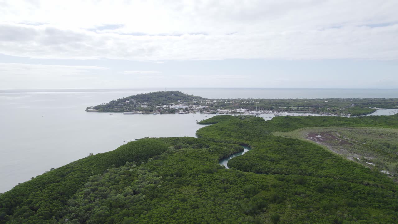 vía fluvial a través de densos matorrales de selva tropical cerca del arrecife morey en queensland