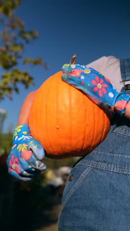 person holding a large pumpkin