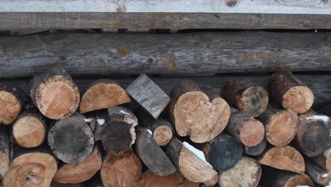 panning right old round logs pile in front of silver gray log wall