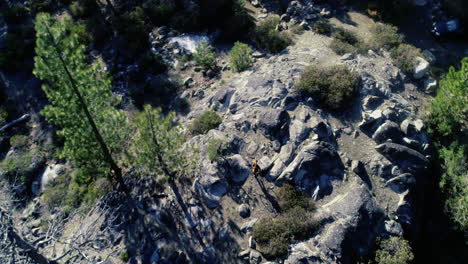 biker walking over rocks in a forest