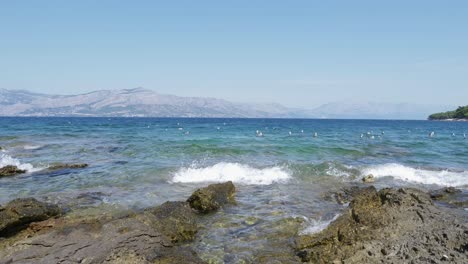 gaviotas nadando en el mar en calma en un caluroso día de verano