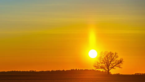 a breathtaking transition of colors as the sun sets behind the horizon, casting warm hues over the peaceful landscape and highlighting a lone tree