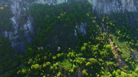 sloping mountains with trees growing on. white rock covered with vegetation in the rays of sun. top view.