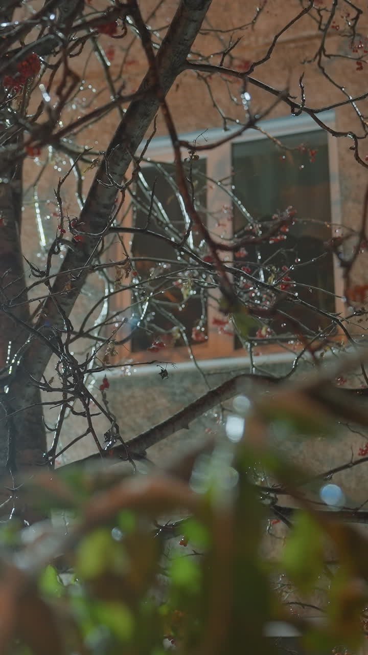 ramas de árboles desnudas adornadas con bayas rojas balanceándose en el viento de invierno brillando bajo la luz suave en una escena de noche de invierno, con un edificio residencial borroso y luz cálida