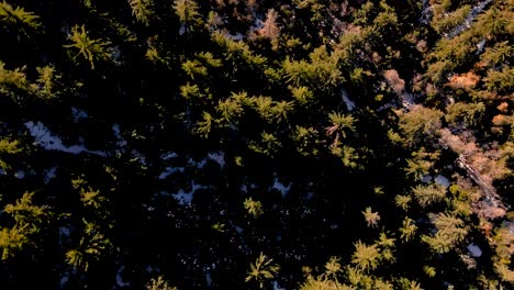 aerial overhead shot over snow capped angeles national forest