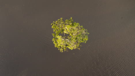 Bei-Der-Aufsteigenden-Kamerafahrt-Bewegt-Sich-Die-Luftaufnahme-Nach-Hinten-Und-Offenbart-Eine-Insel-Mit-Vogelnestern-Im-Ruhigen-See