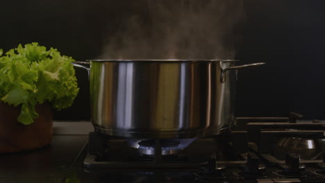 pot with water on the stove