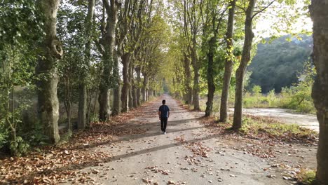 Walking-Road-Autumn