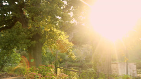 Couple-jogging-in-park