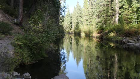 tilt-up from the calm waters of the rogue river reflecting the beautiful trees nearby