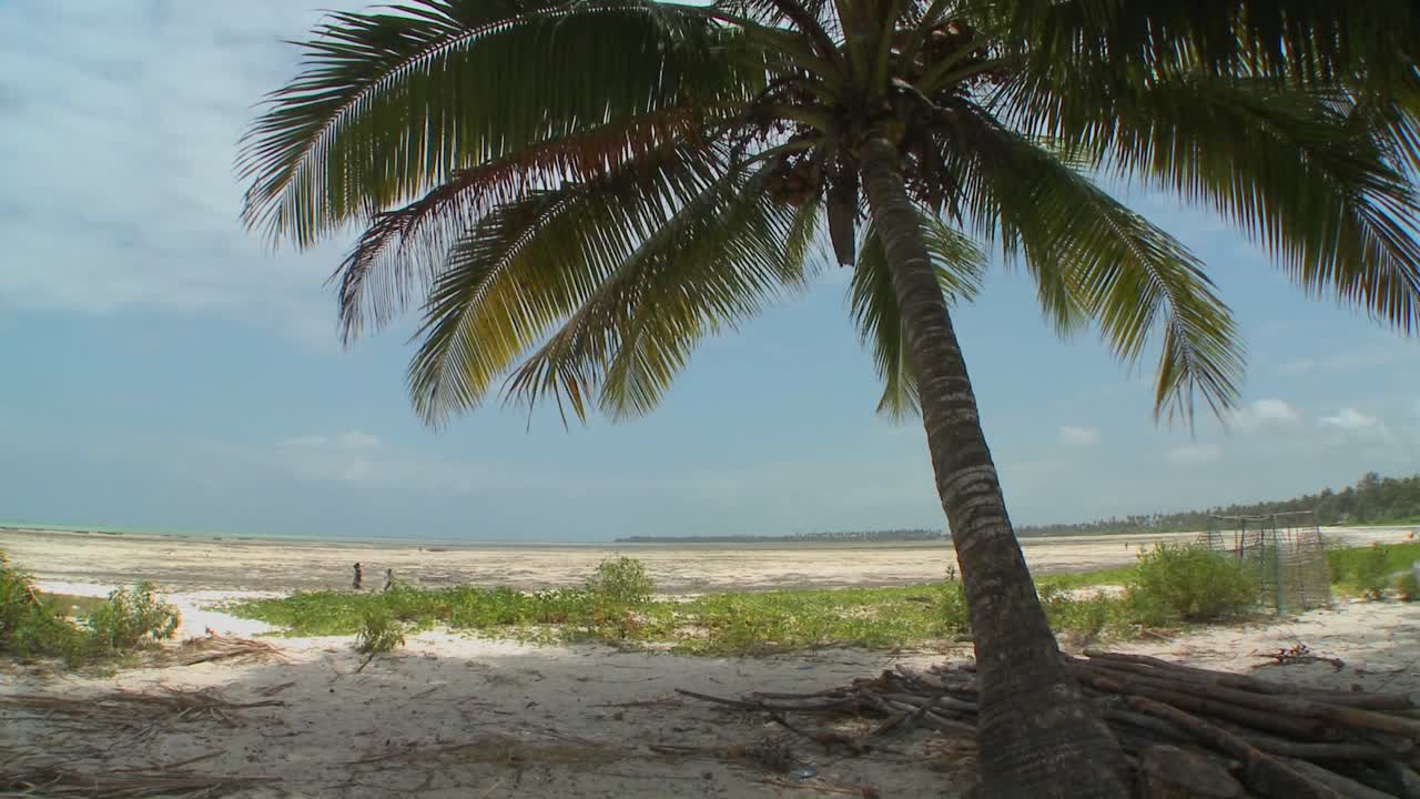 A view of a perfect tropical beach on a tropical island paradise