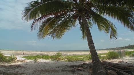 una vista de una playa tropical perfecta en una isla tropical paradisíaca
