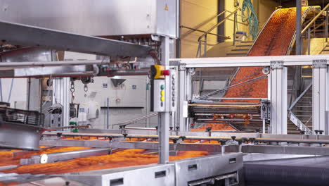 raw eggs being sorted at a packaging factory - time lapse