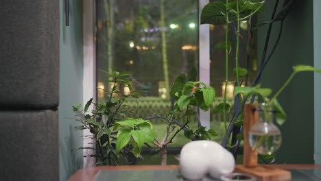 indoor scene showing glass vase with green plant beside white ceramic decoration on wooden table near window, evening lights and moving cars visible outside creating calm urban nature ambiance