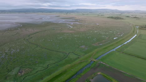 panning aerial view of arable farmland and reveal of coastal grassland and flat tidal sands during golden hour. pilling sands, lancashire, uk.