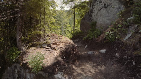 trail with wooden stairs in canadian mountains