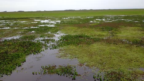 Wetlands-of-northeast-Argentina-shooted-with-drone