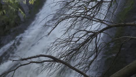 Blurry-waterfall-behind-branches-of-dry-tree