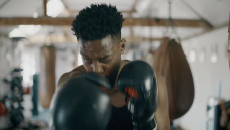 boxer punching towards camera