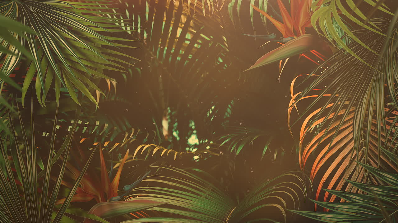 primer plano de hojas tropicales de árboles con fondo de verano 16