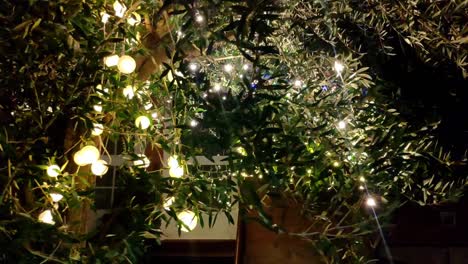 moving shot of a tree on a house entrance decorated with yellow bright light up balls.