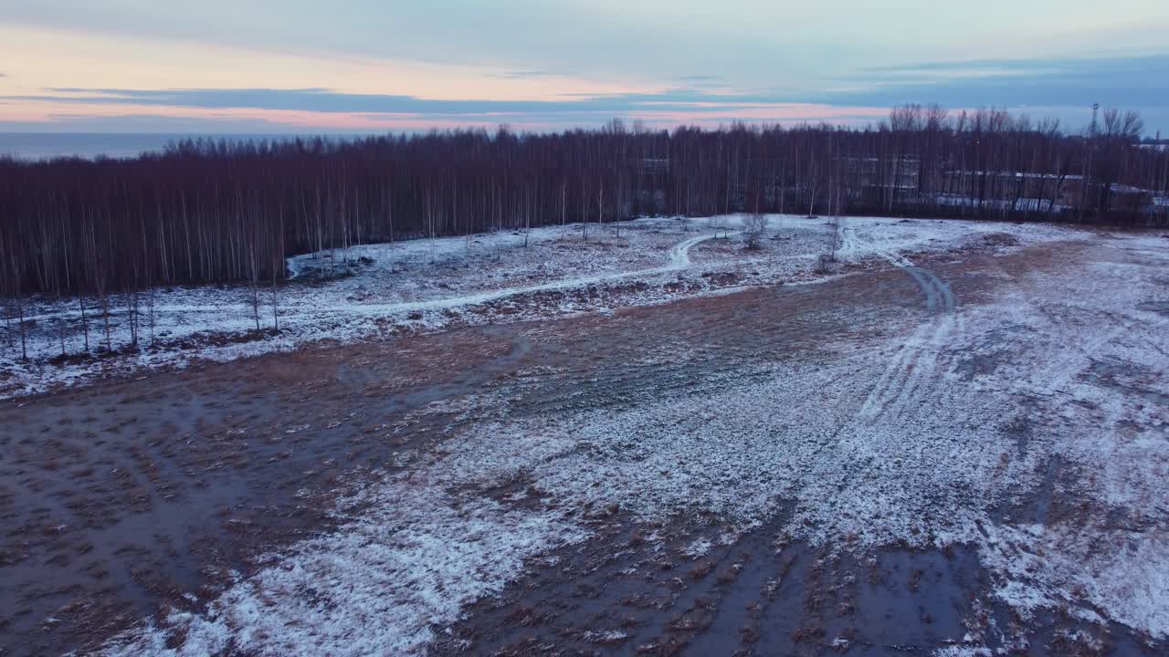 вид с беспилотного летательного аппарата 4k на парковое поле у леса, покрытого снегом, латвийский пейзаж