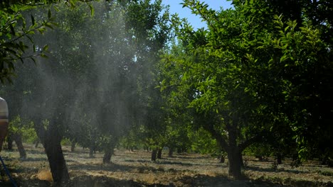 adult man sprays medicine garden