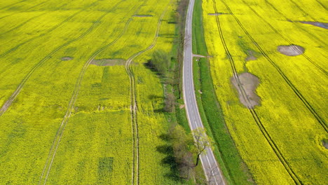 4K-Aerial-of-highway-in-rural-rapeseed-fields