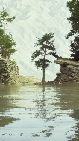 tranquil lake with a pine tree