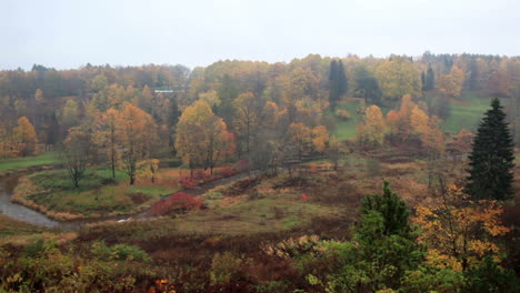 Herbstwald-Und-Geschwungener-Fluss