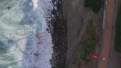 la jolla cove drone top down flight split between ocean with waves crashing and sea lions and rocky cliffs and walker path in park