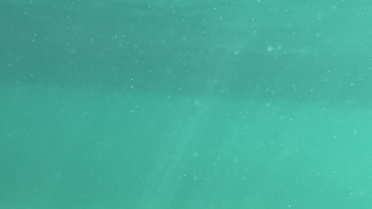 푸르키즈색 바다 의 수중 풍경