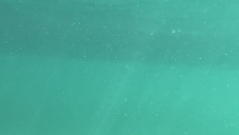 подводный вид на бирюзовый океан
